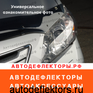 Защита на фары SIM для Toyota Corolla, 00-06, SD, карбон